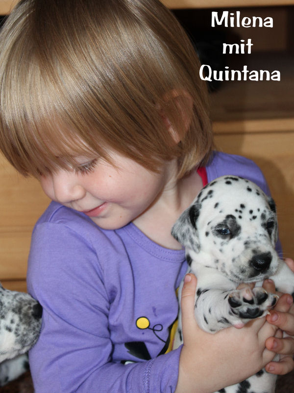 QQ-Wurf - geboren am 08.07.2012