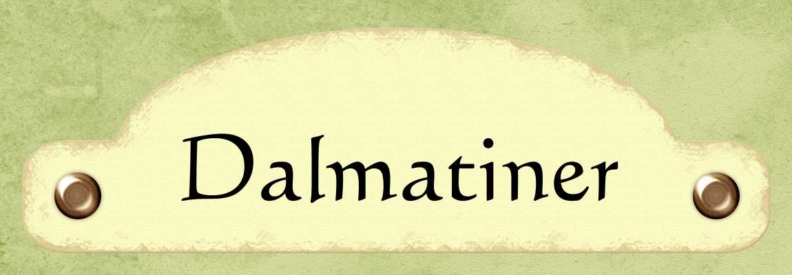 Dalmatiner