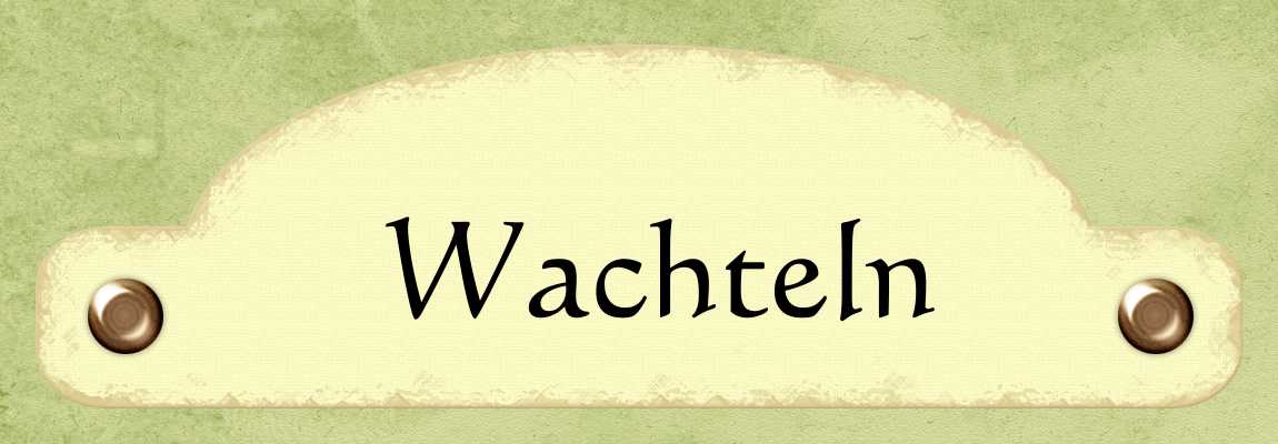 Wachteln